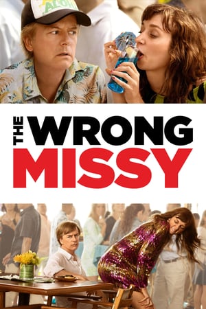 Nonton The Wrong Missy (2020) Sub Indo jf