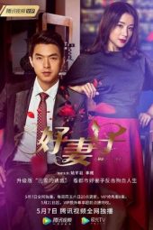 Nonton Film Good Wife (2020) Sub Indo