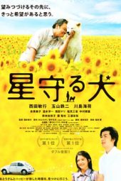 Nonton Film Star Watching Dog (2011) gt Sub Indo