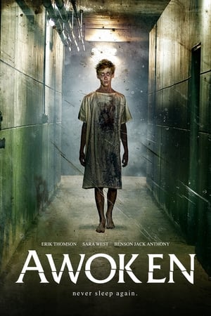 Awoken 2019 Poster