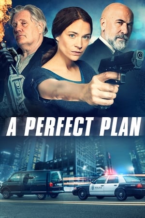 A Perfect Plan 2020 Poster