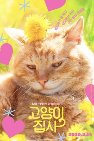 Poster Our Cat (2020)