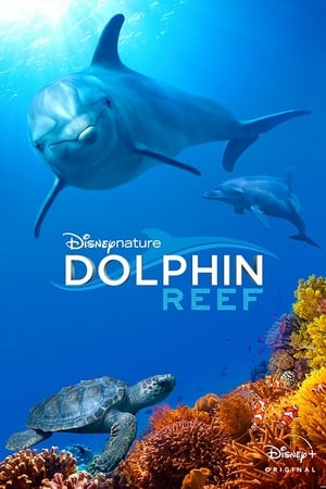 Poster Nonton Dolphin Reef (2018) Sub Indo jf