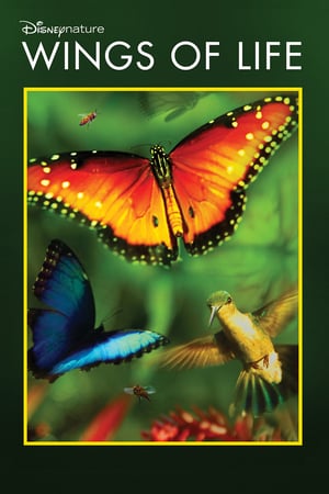 Poster Wings of Life (2011) gt