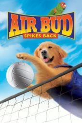 Nonton Film Air Bud: Spikes Back (2003) Sub Indo