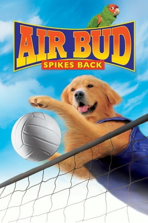 Poster Air Bud: Spikes Back (2003) jf