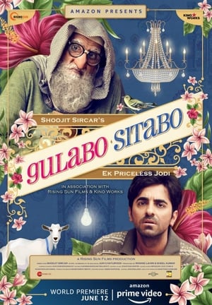 Poster Gulabo Sitabo (2020) jf