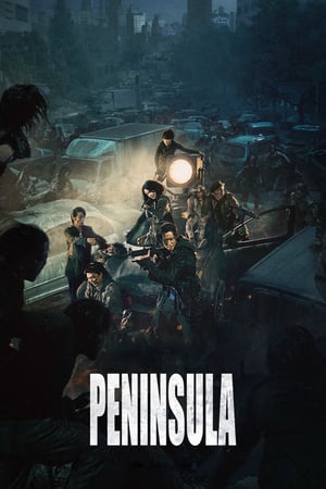 Peninsula aka Train to Busan 2 2020 Poster