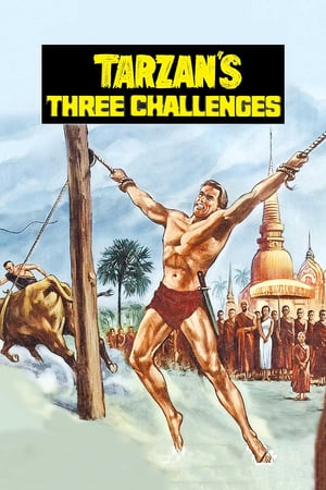 Poster Tarzan’s Three Challenges (1963) jf