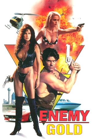 Enemy Gold 1993 Poster
