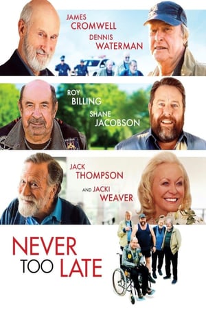 Never Too Late (2020) jf