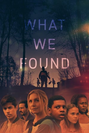 What We Found 2020 Poster