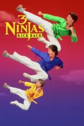 3 Ninjas Kick Back (1994) jf