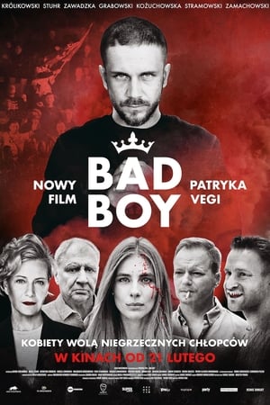 Poster Nonton Bad Boy (2020) Sub Indo jf