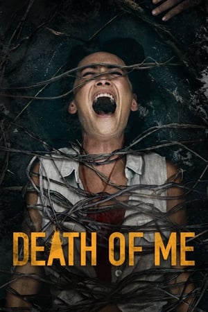 Poster Nonton Death of Me (2020) Sub Indo jf