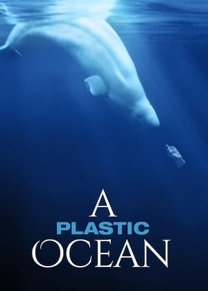 A Plastic Ocean 2016 Poster
