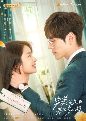 Nonton Perfect and Casual (2020) Sub Indo