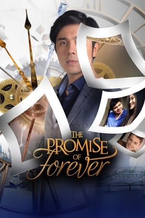 Nonton The Promise of Forever (2017)