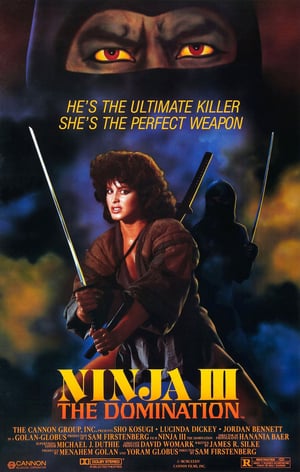 Ninja III The Domination 1984 Poster