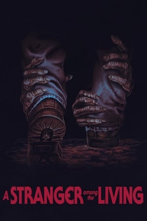 A Stranger Among The Living 2019 Poster