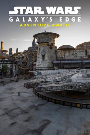 Star Wars Galaxy8217 s Edge 8211 Adventure Awaits 2019 Poster