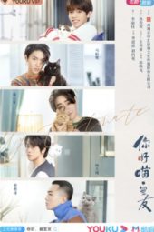 Nonton Film My Catmate (2020) Sub Indo