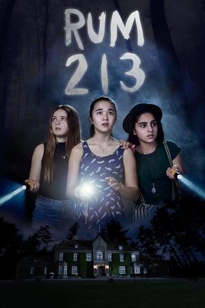 Poster Nonton Rum 213 (2017) Sub Indo jf