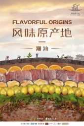 Flavorful Origins S03 (2019)