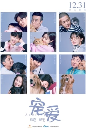 Poster Nonton Adoring (2019) Sub Indo jf