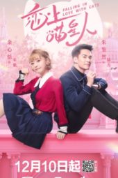 Nonton Film Falling In Love With Cats (2020) Sub Indo