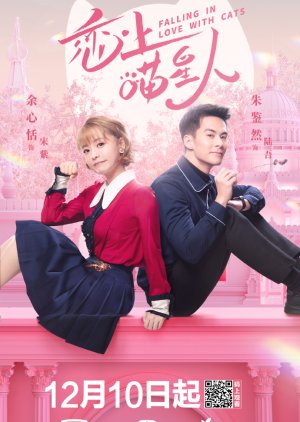 Nonton Falling In Love With Cats (2020) Sub Indo