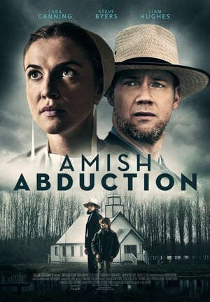 Nonton Amish Abduction (2019) Sub Indo jf