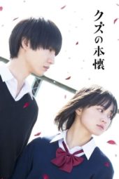 Scum’s Wish / Kuzu no Honkai (2017)