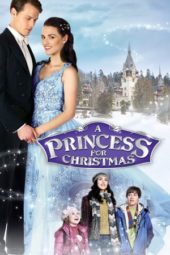 Nonton Film A Princess for Christmas (2011) Sub Indo