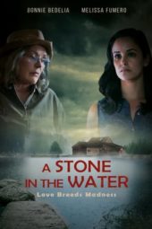 Nonton Film A Stone in the Water (2019) Sub Indo