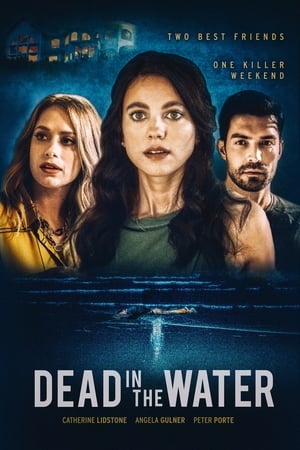 Poster Nonton Dead in the Water (2021) Sub Indo jf