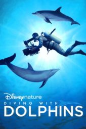 Diving with Dolphins (2020) jf