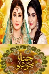 Hina Ki Khushboo (2017)