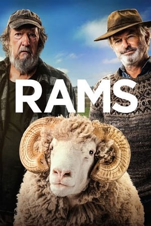 Poster Nonton Rams (2020) Sub Indo jf