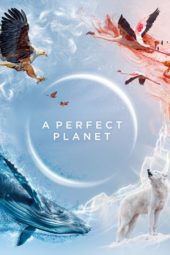 A Perfect Planet S01 (2021)