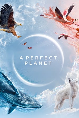 Nonton A Perfect Planet S01 (2021) Sub Indo