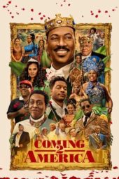 Nonton Coming 2 America (2021) Sub Indo jf