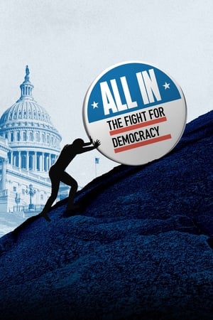All In The Fight for Democracy 2020 Poster
