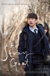 Nonton Film A Stray Goat (2017) Sub Indo