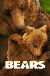 Bears (2014) jf