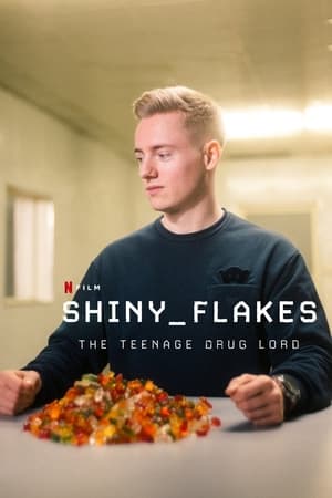 Shiny Flakes The Teenage Drug Lord 2021 Poster