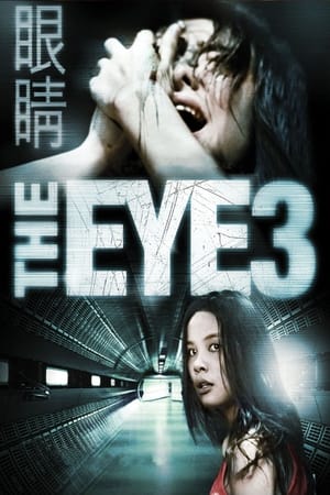 Nonton The Eye 3: Infinity / Gin Gwai 10 (2005) Sub Indo jf