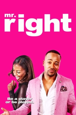 Poster Nonton Mr. Right (2015) Sub Indo jf