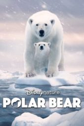 Nonton Film Polar Bear (2022) Sub Indo