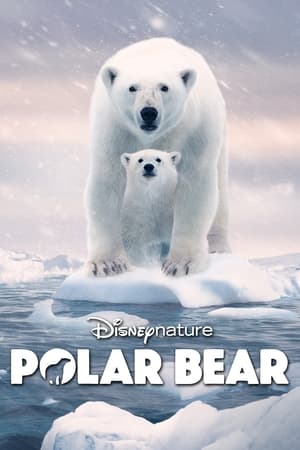 Poster Nonton Polar Bear (2022) Sub Indo jf